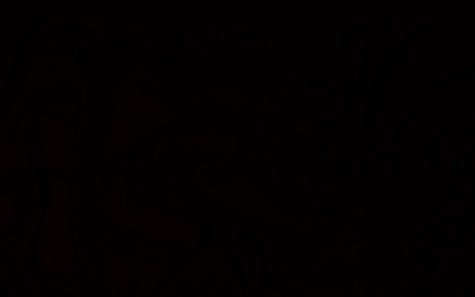 lilly rose profile banner