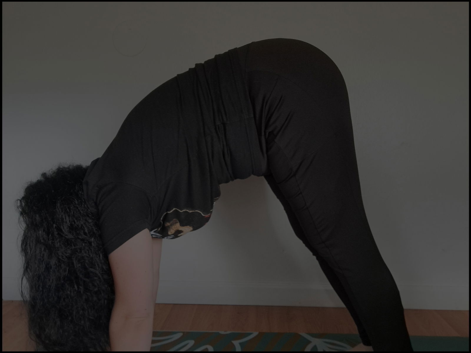 Lilly Rose profile banner