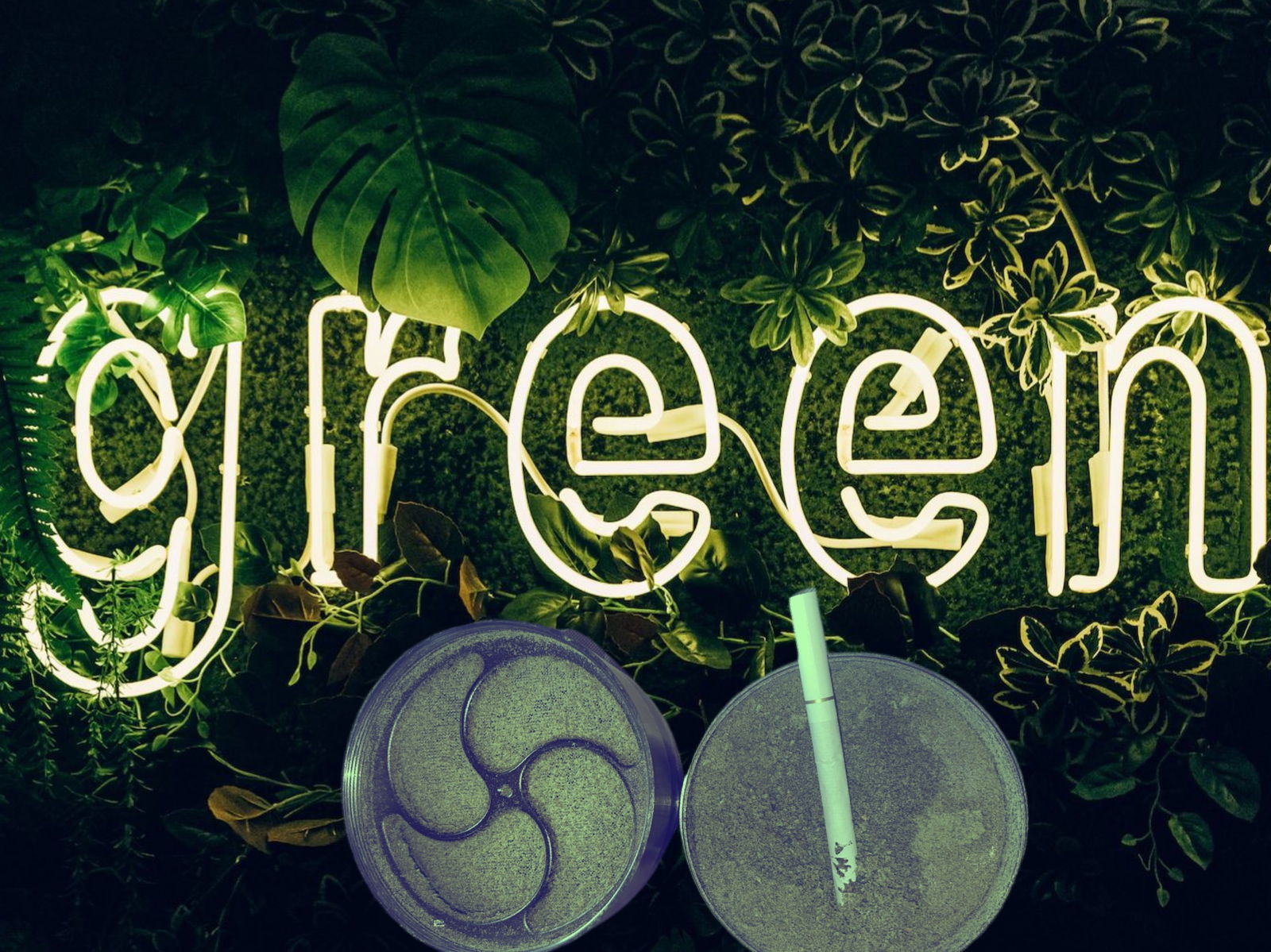 Lilly profile banner