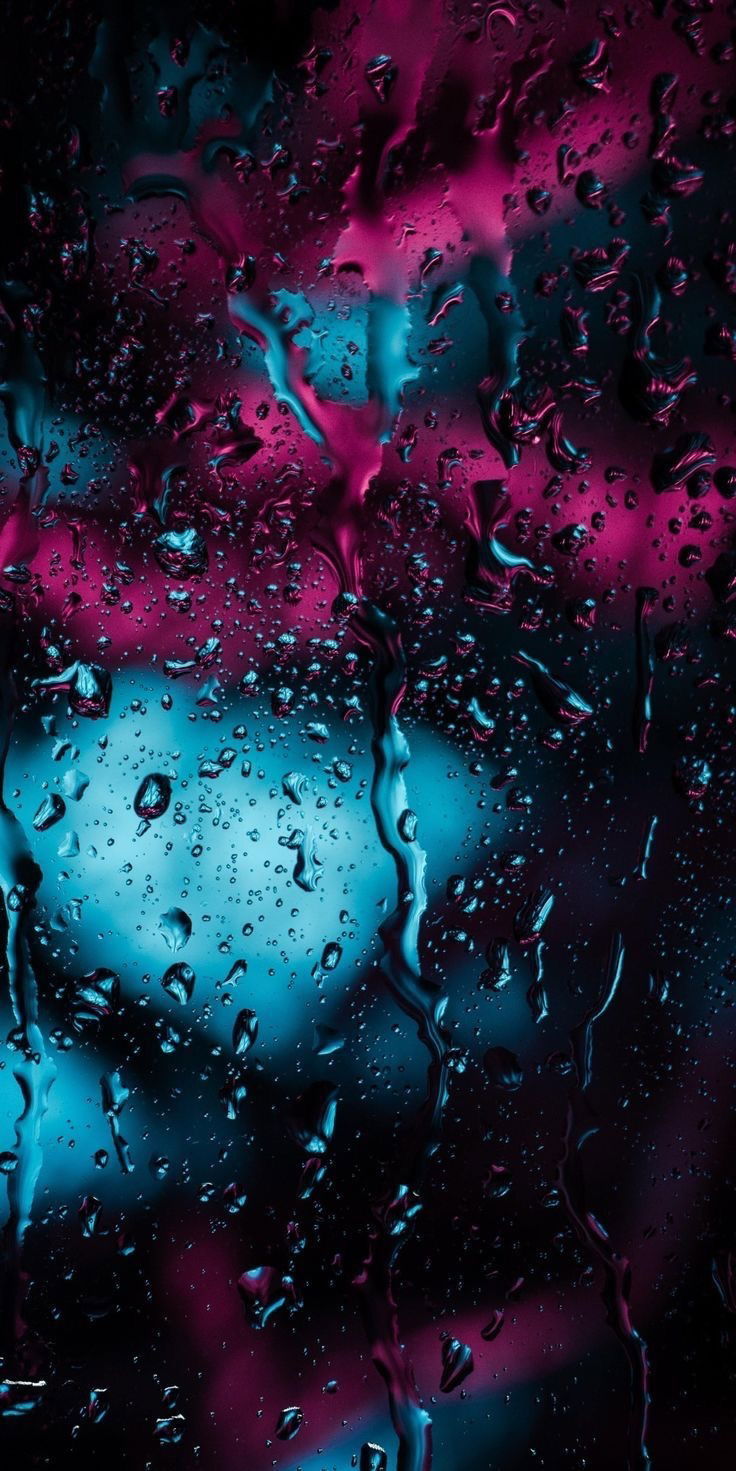 lilspicycat banner