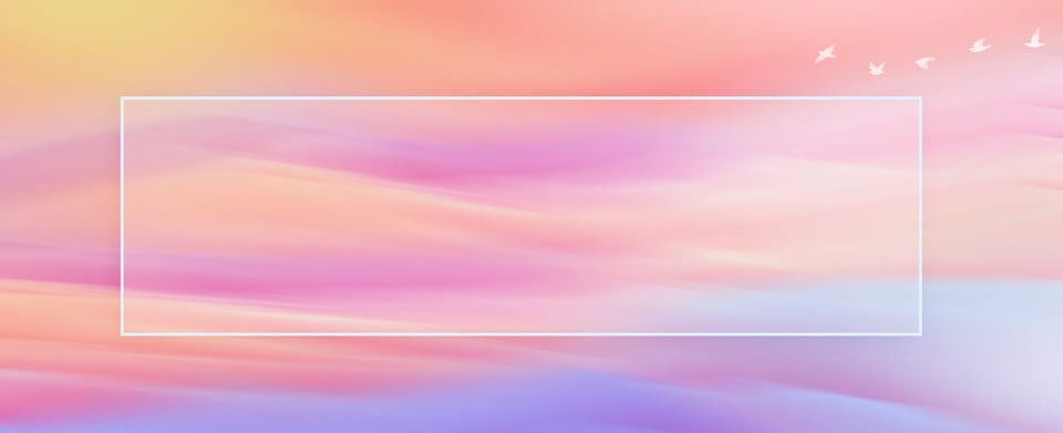 Lily ❤️ profile banner