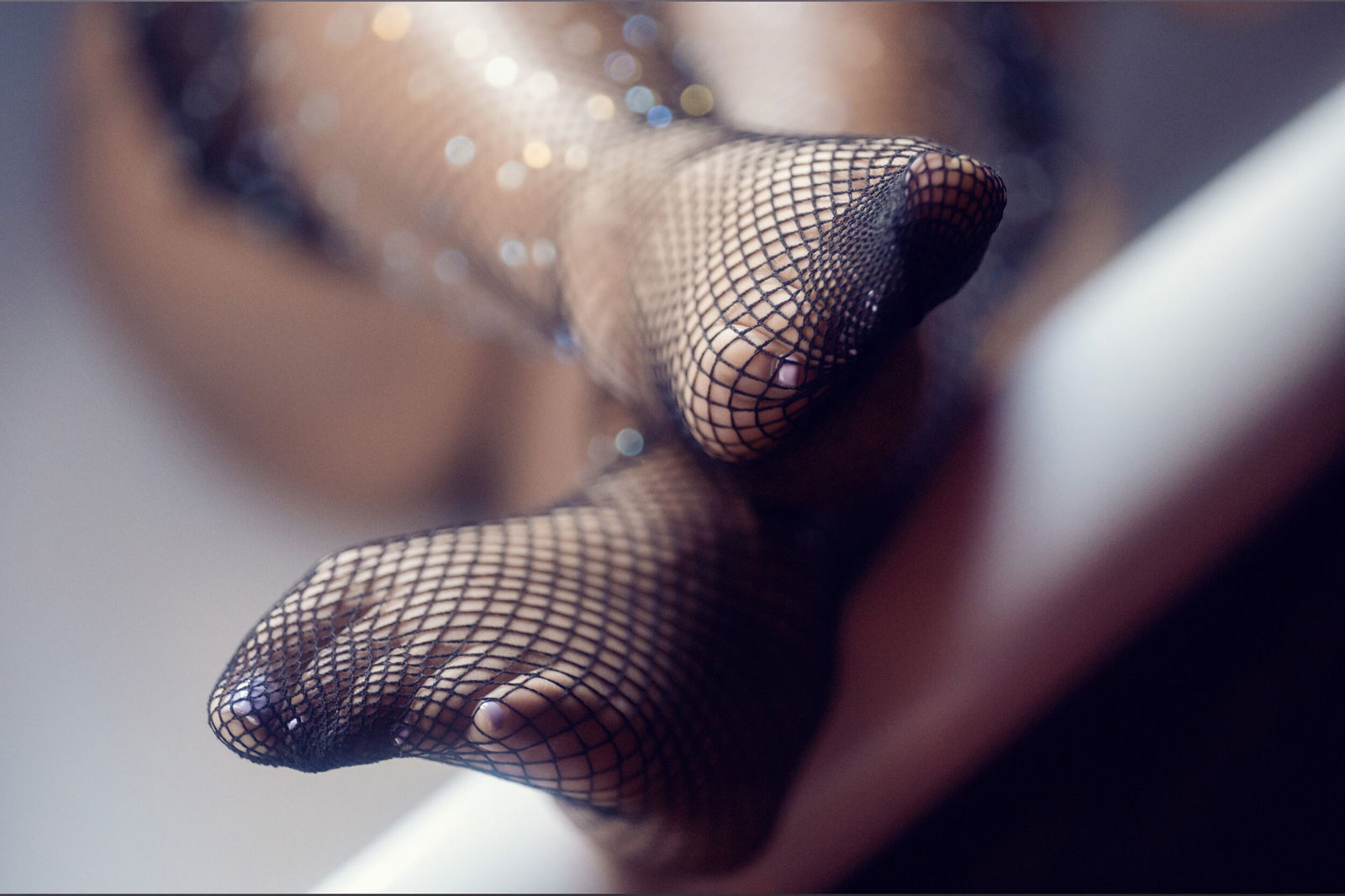 lily.starfire banner