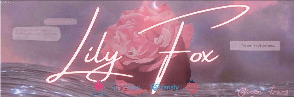 Lily Fox profile banner