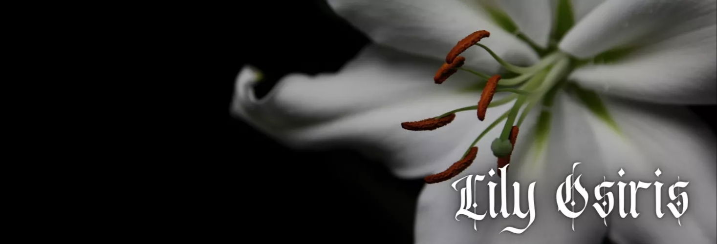 Lily Osiris profile banner