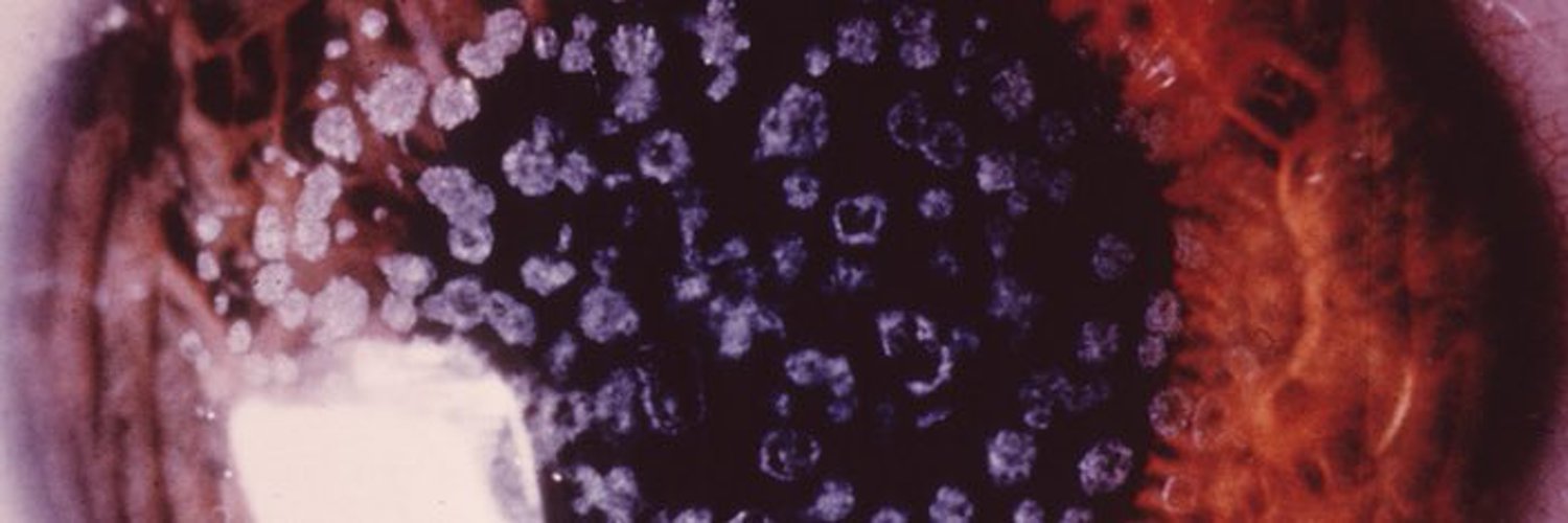 π profile banner