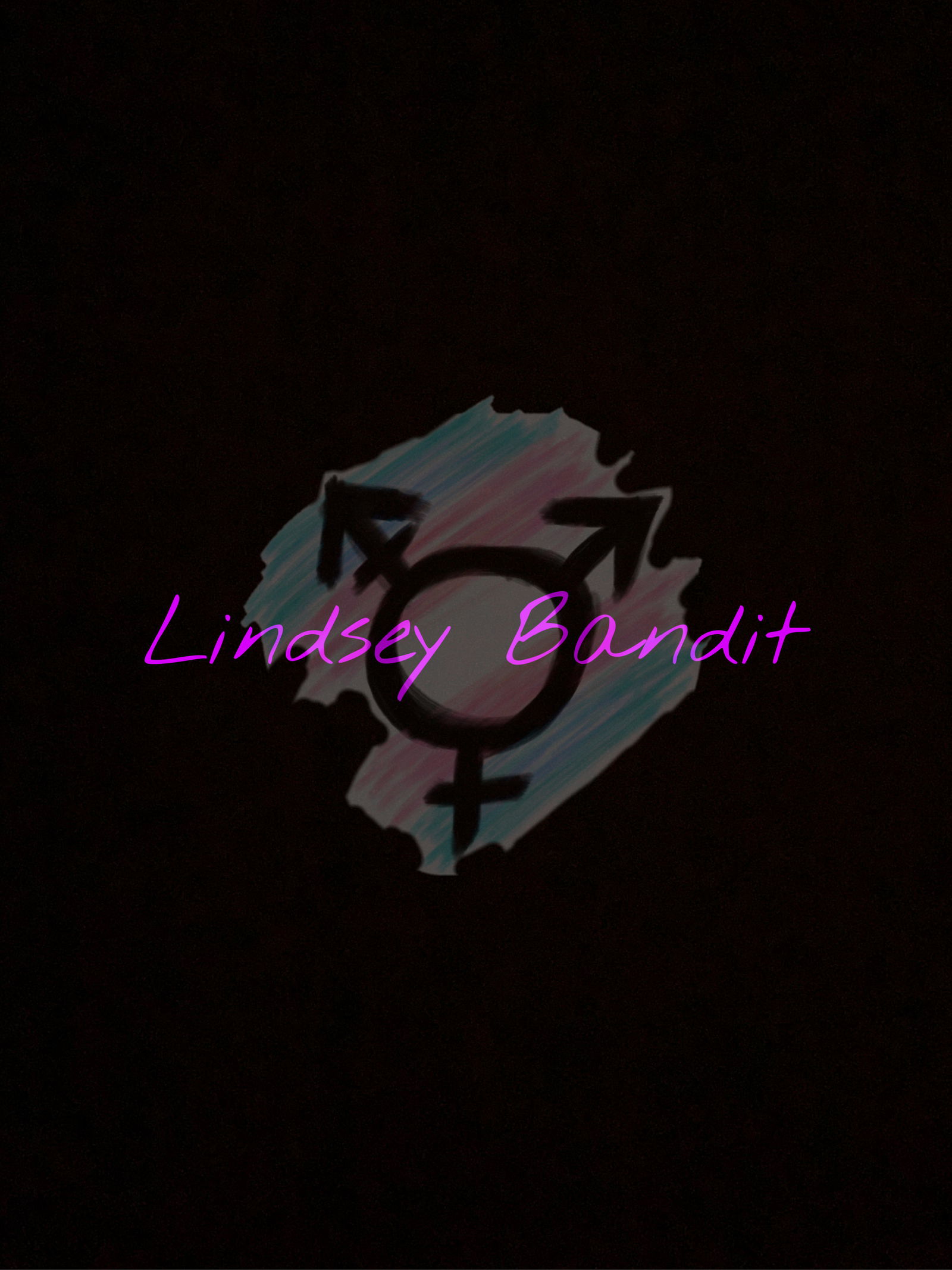 Lindsey Bandit π profile banner