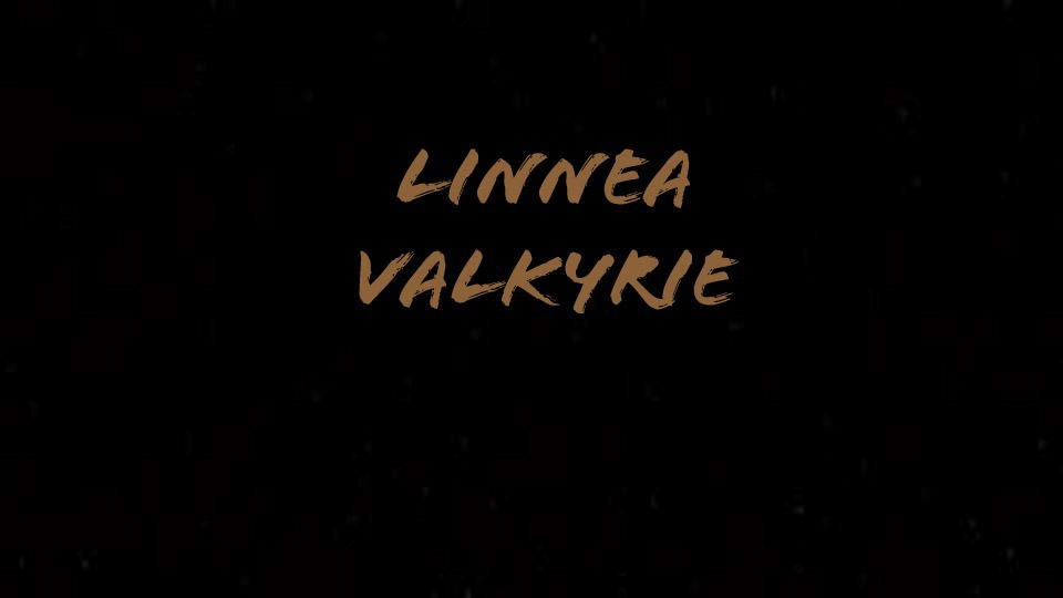 LinneaValkyrie profile banner