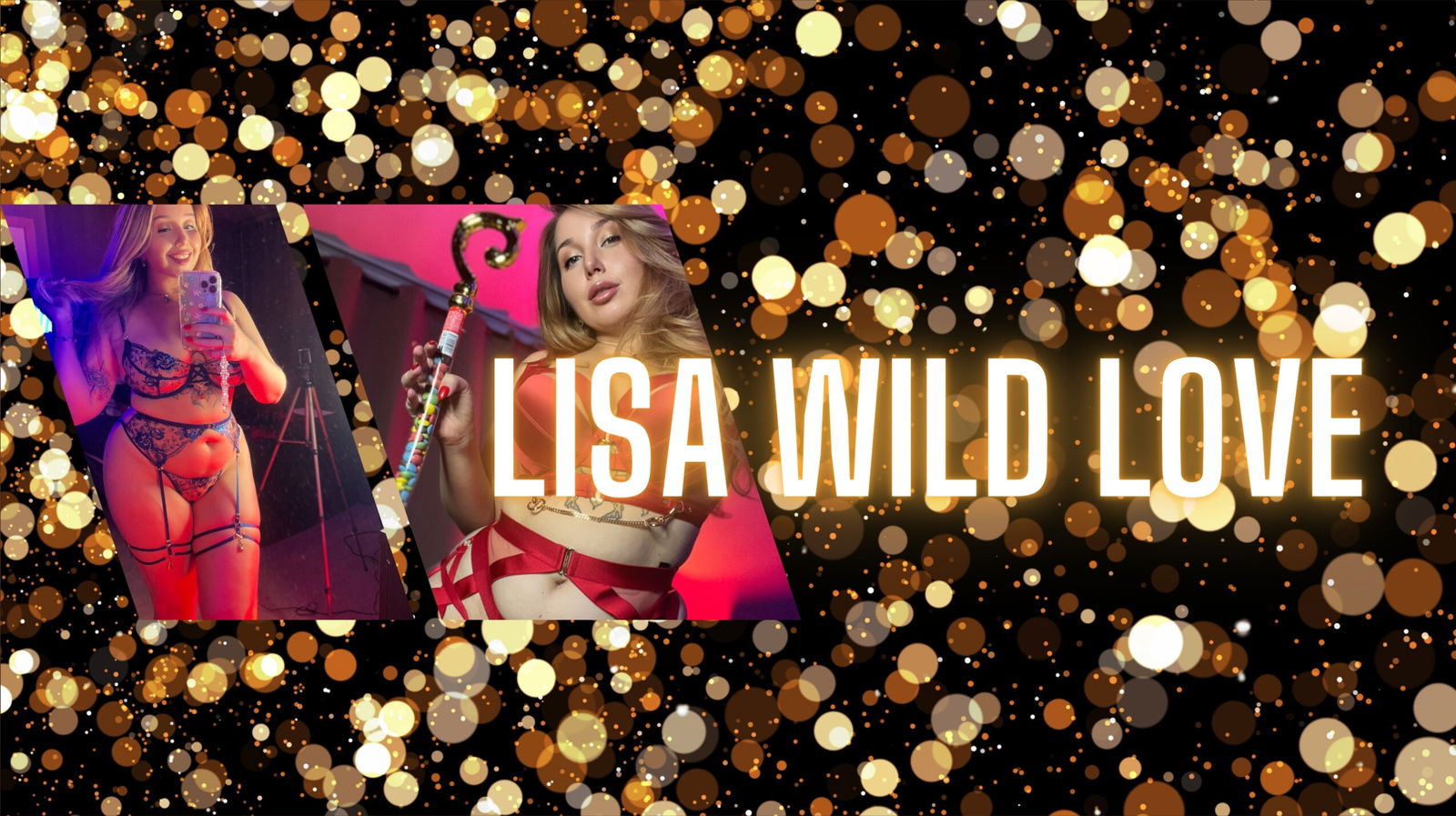 lisawildlove banner