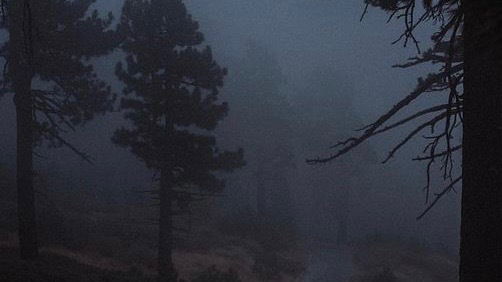 โ
๐ปGhost๐ปโ
profile banner