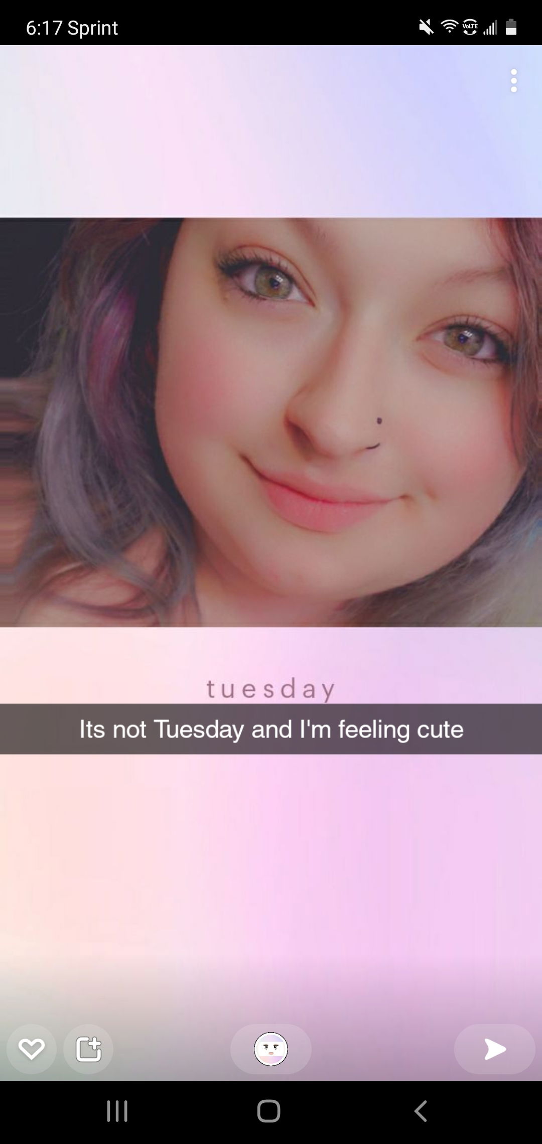 Kitten profile banner