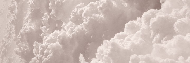 Little.Polished.Toes profile banner