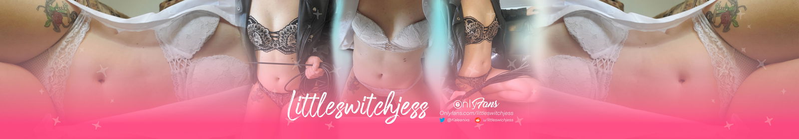littleswitchjess VIP profile banner