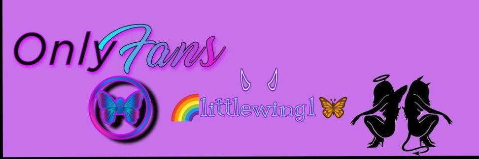 🦋 little🌈wing🦄 profile banner