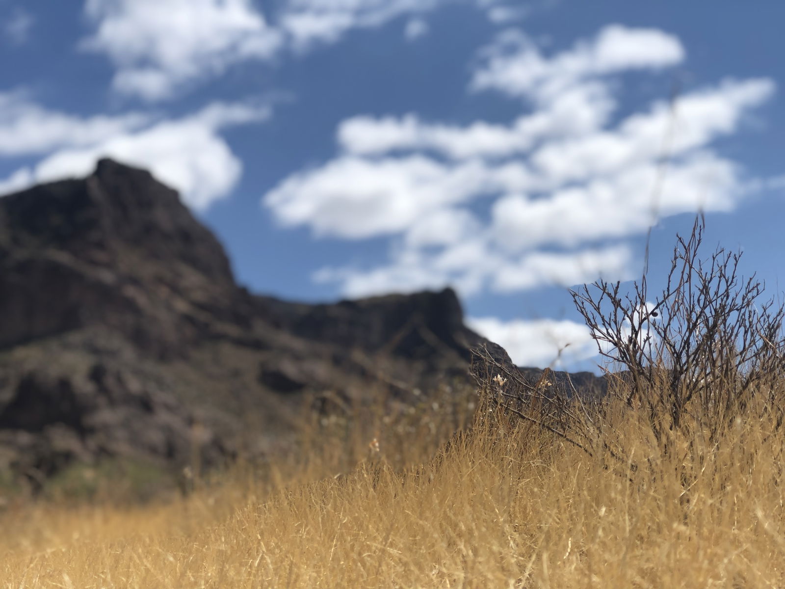 Lizababy profile banner