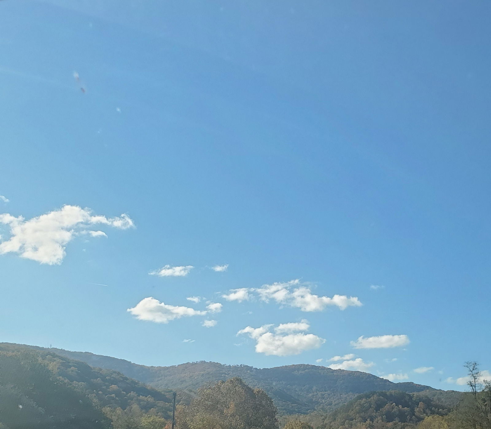 Liz profile banner