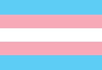 Transfem Lizzy profile banner