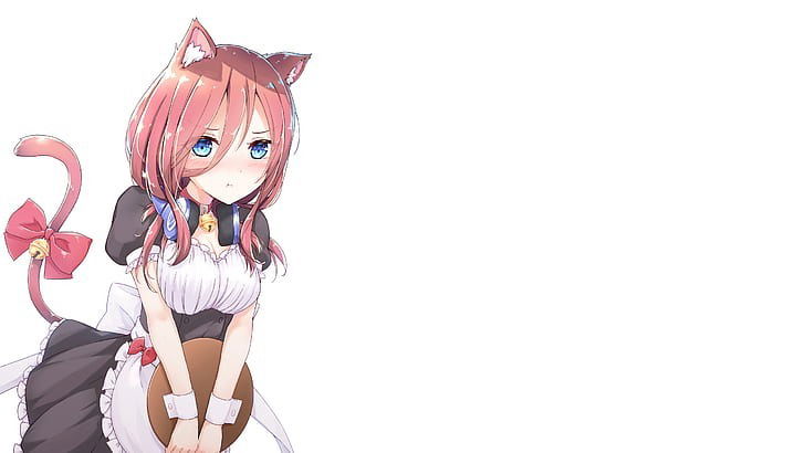 llkonekoll banner