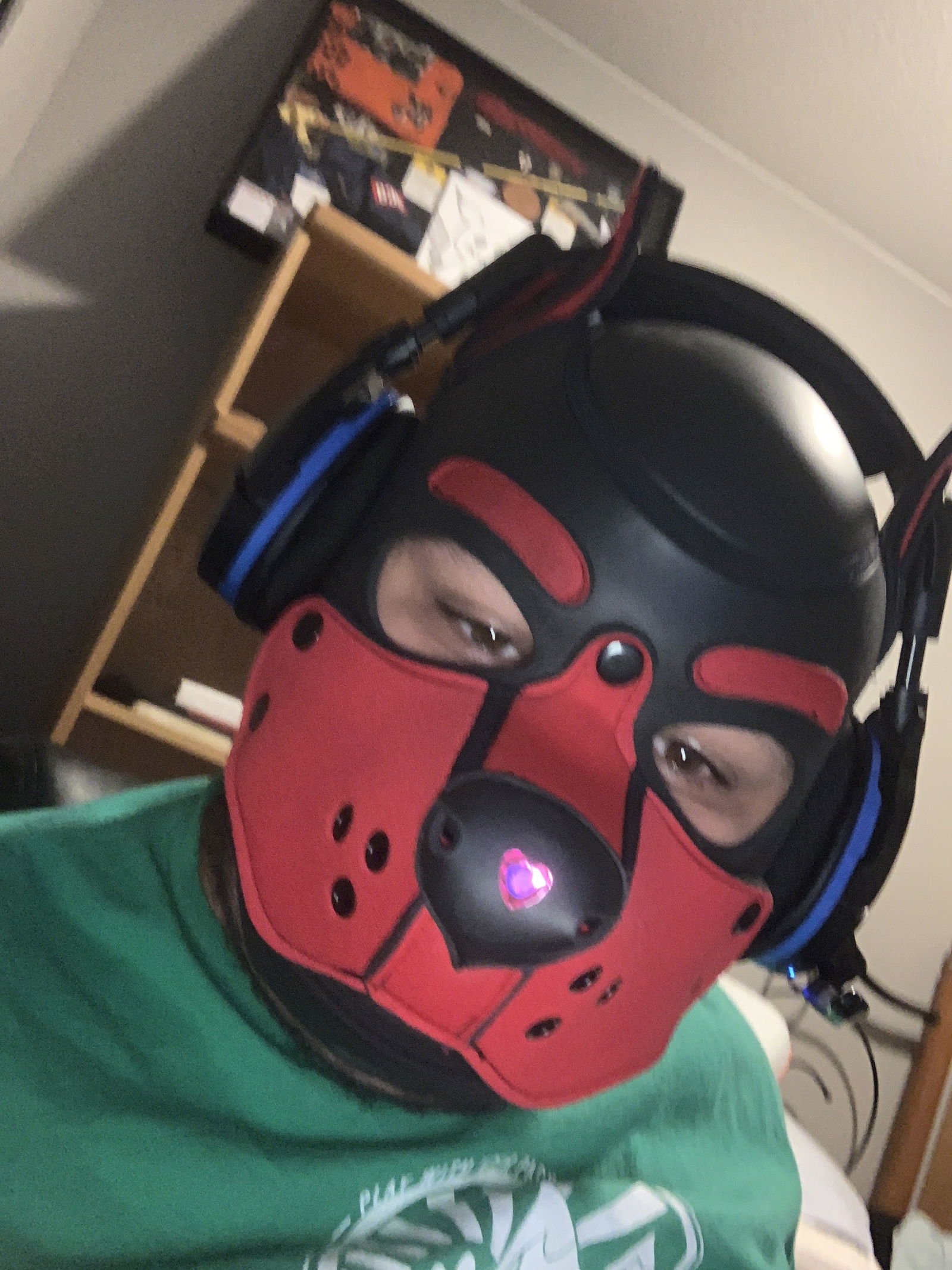 Pup Loki profile banner