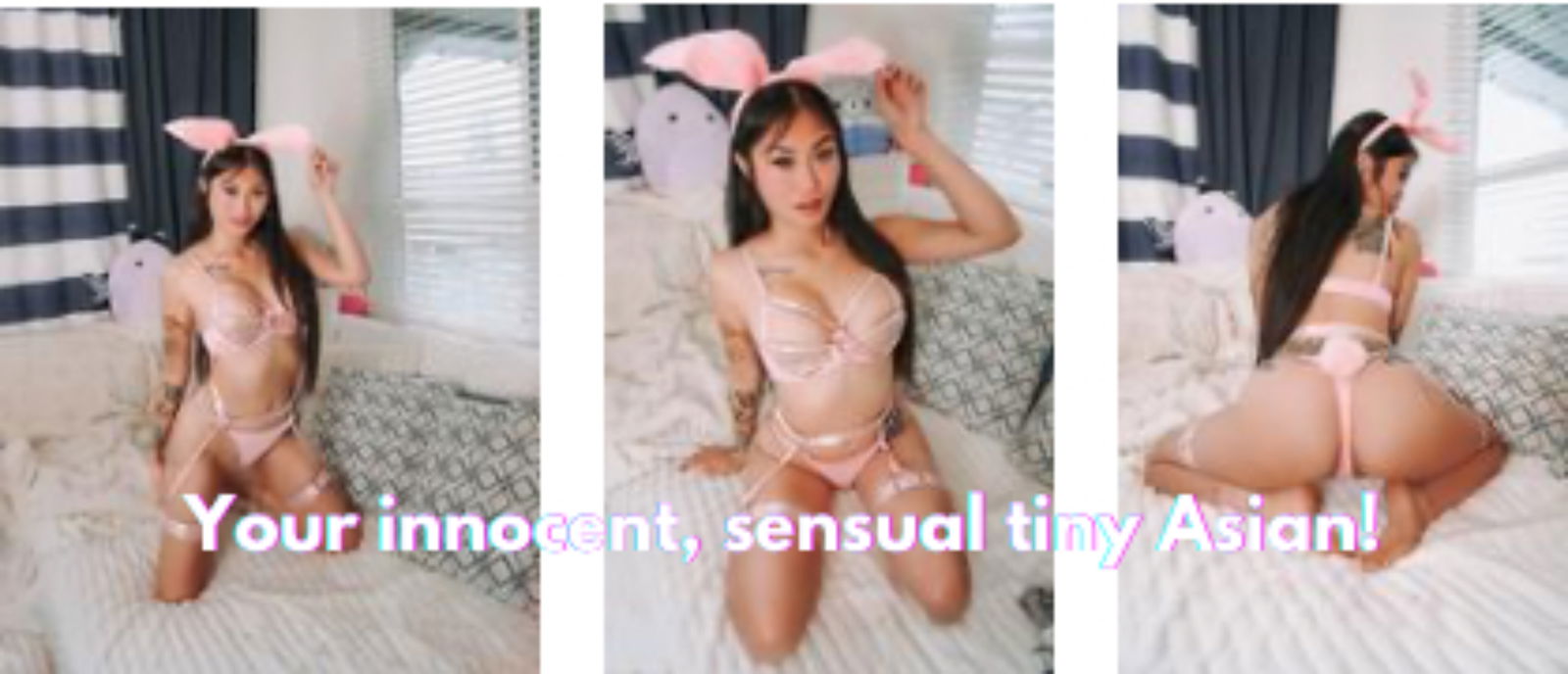 lolatessa banner
