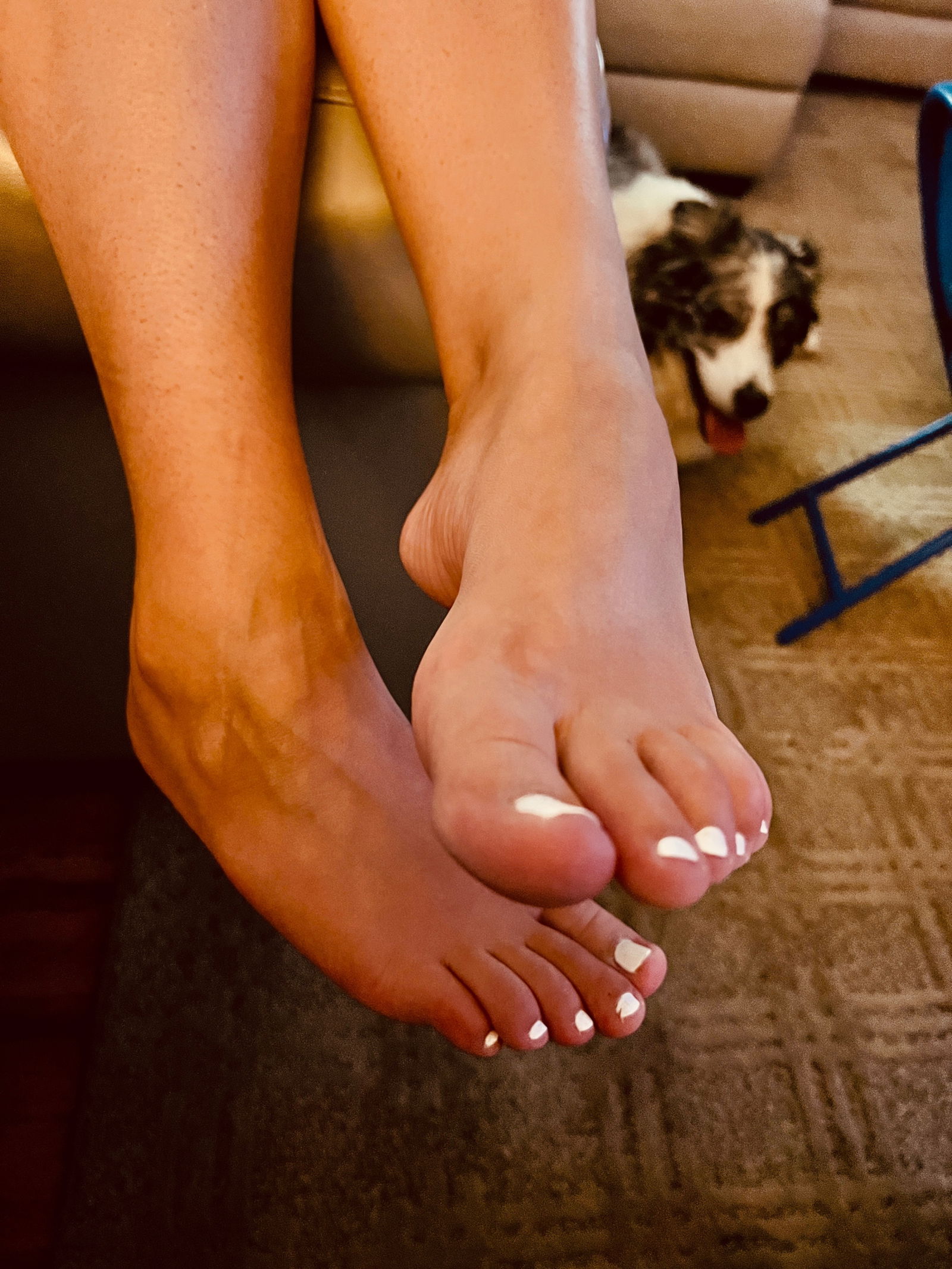 Lollipop_Toes88 profile banner