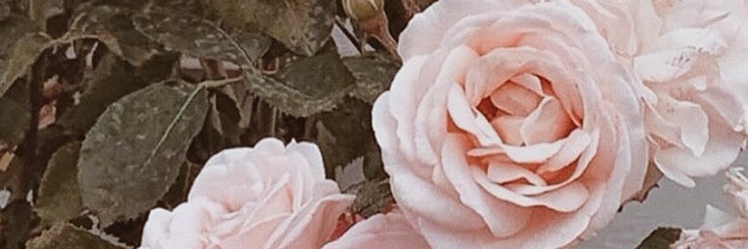 SECRET BOY profile banner