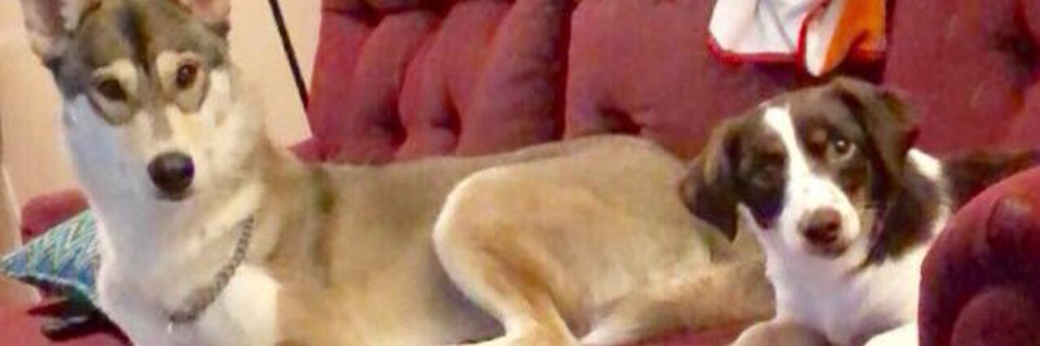 Diana:) profile banner