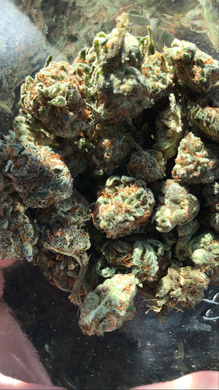 MaryJane π profile banner