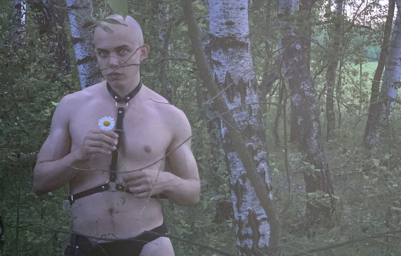 Aleksandr profile banner