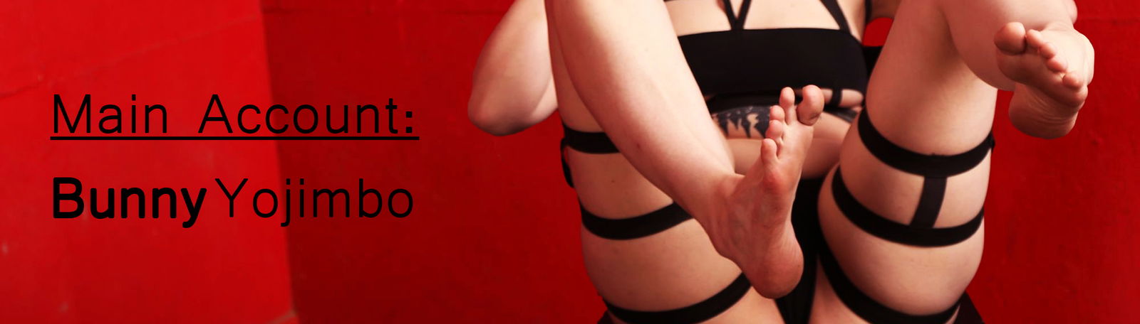 Lucky Bunny's Foot profile banner