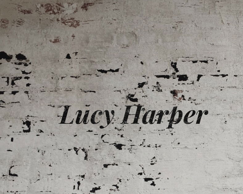 Lucy Harper profile banner
