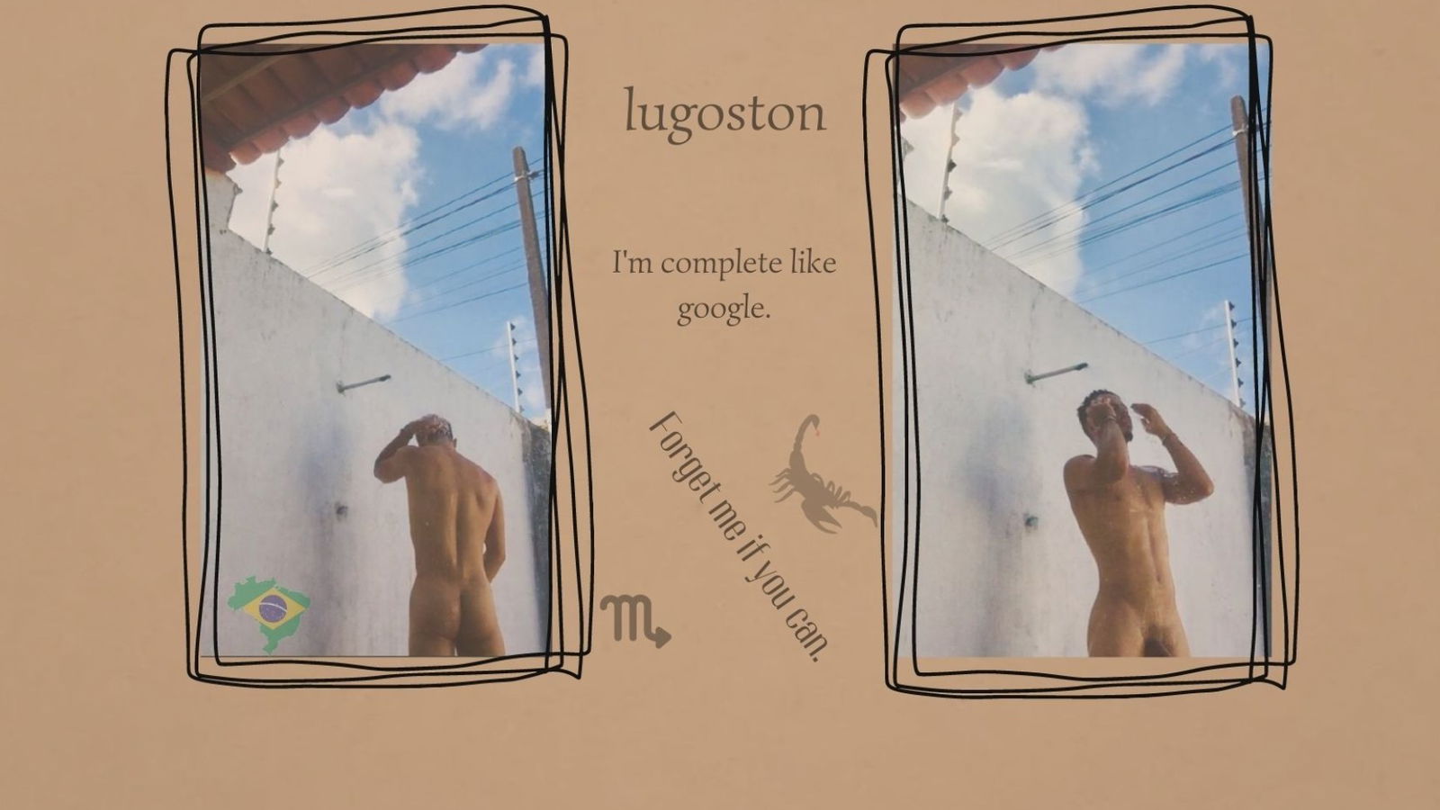 Lupinn profile banner