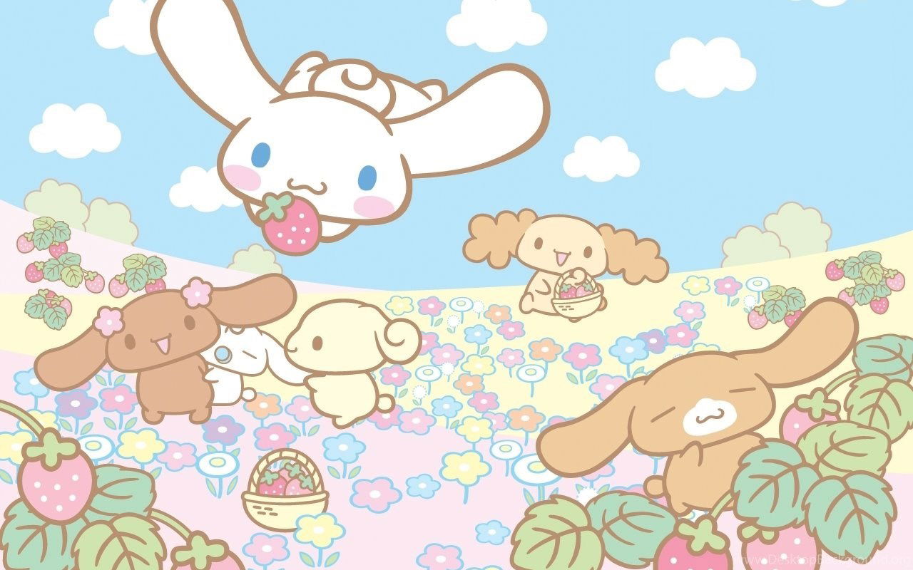 lula profile banner