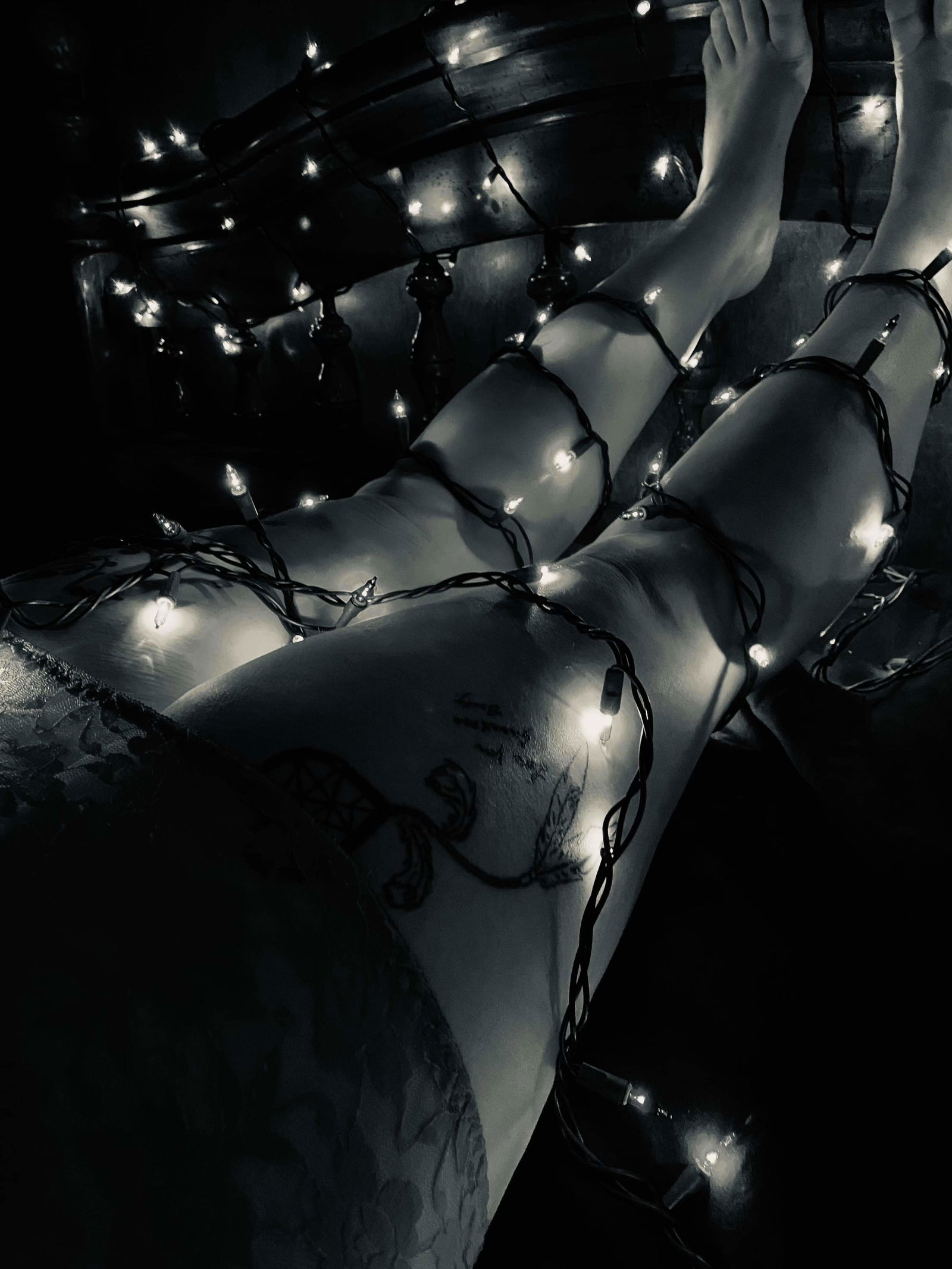 Lulu profile banner