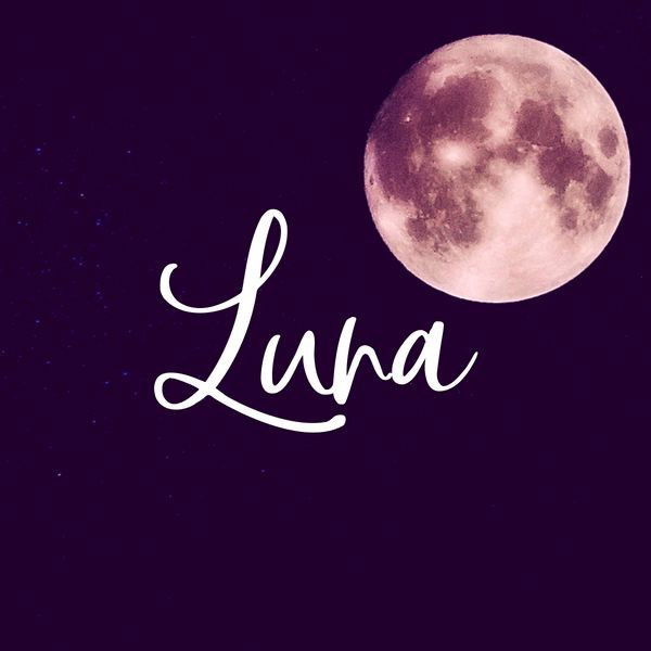 LUNA🌙 profile banner