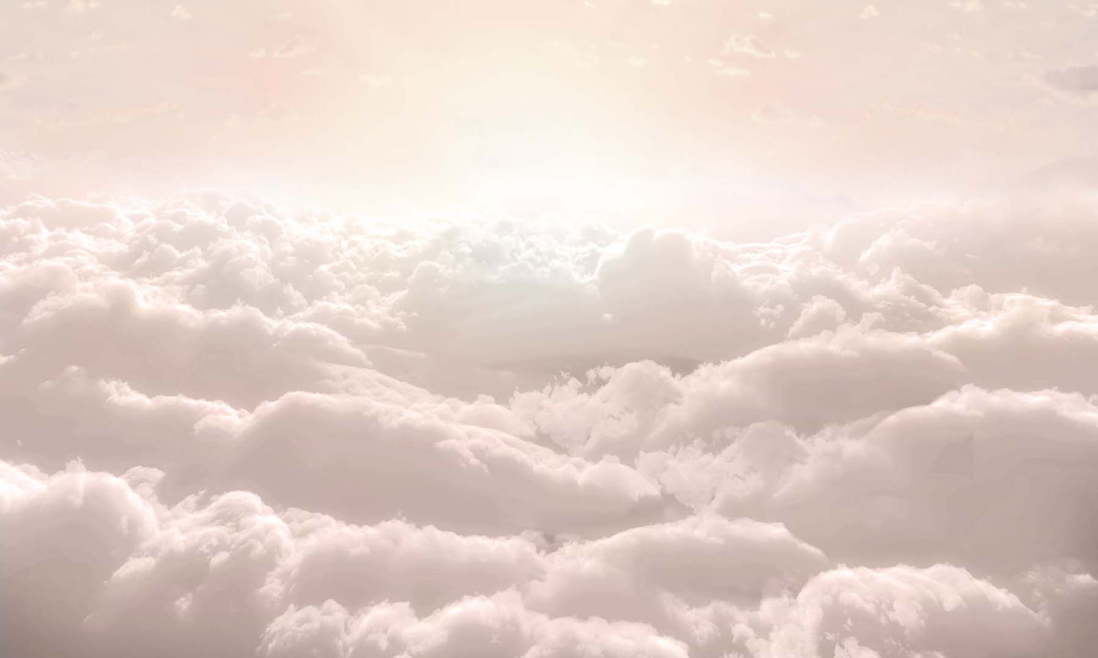 angel š profile banner
