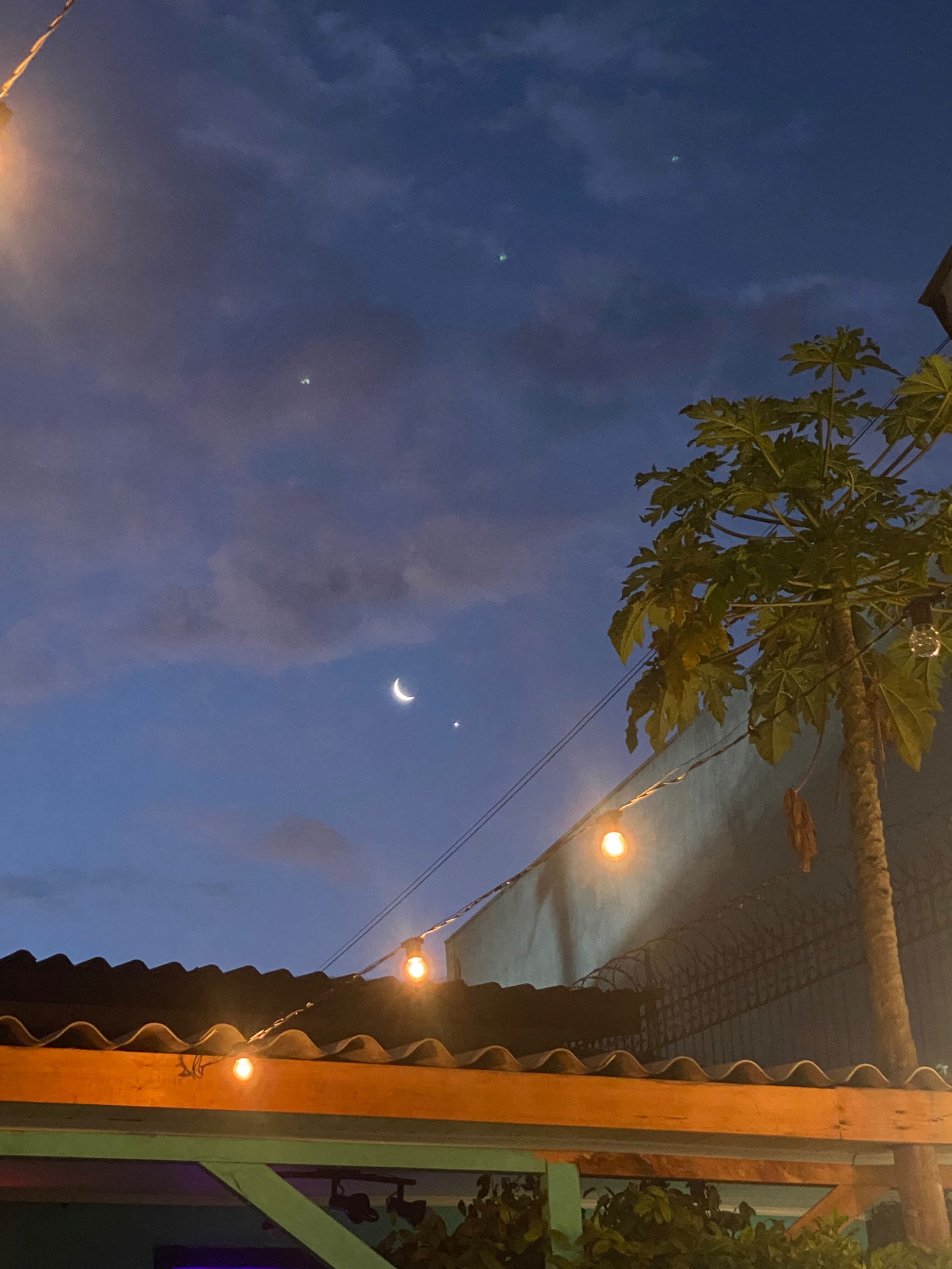 Bruni profile banner