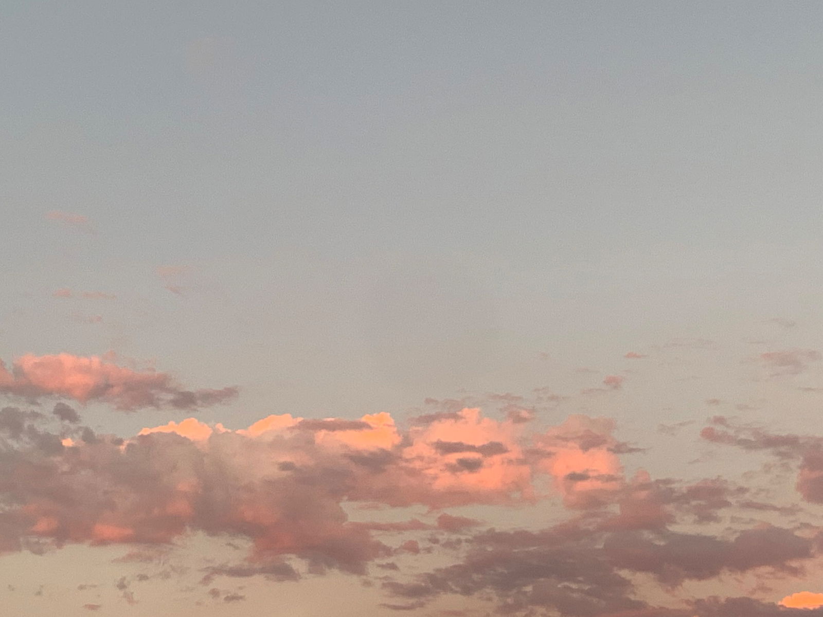 🌩️ profile banner