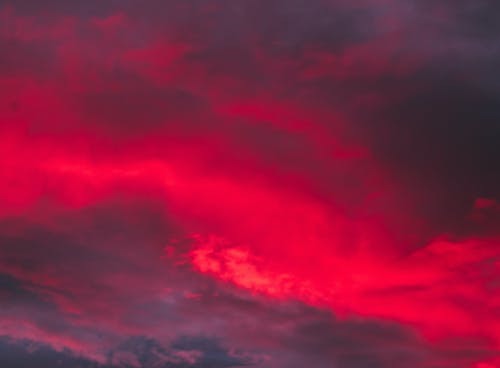 Lusty Latina β¨π profile banner