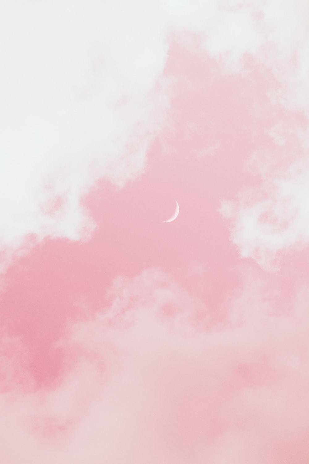 aspyn profile banner