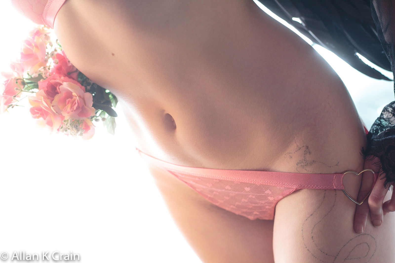 Venus d'Lux profile banner