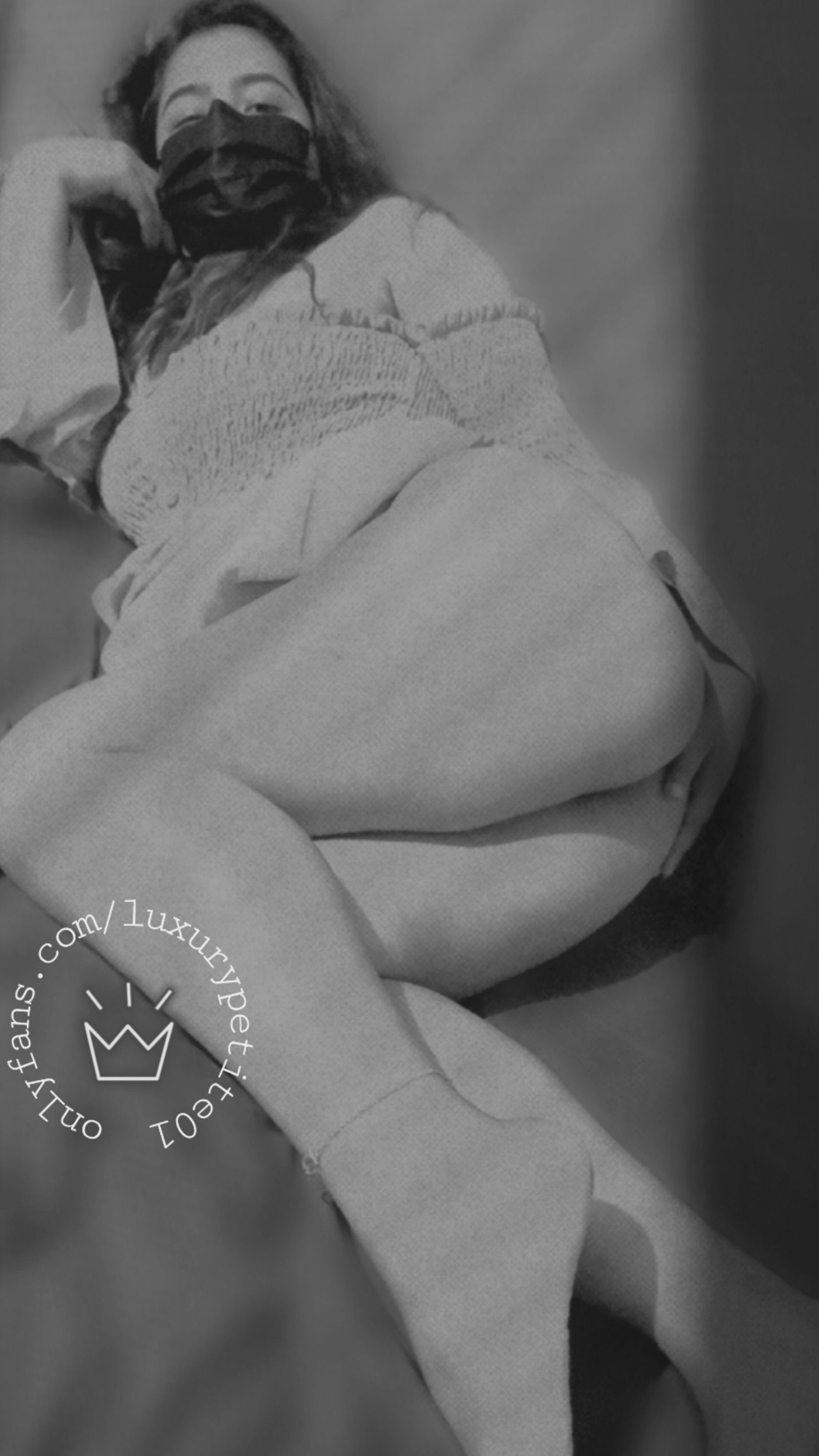 Luxury petite profile banner