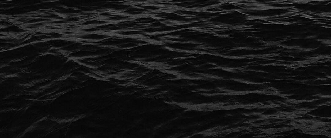 luzepurr banner