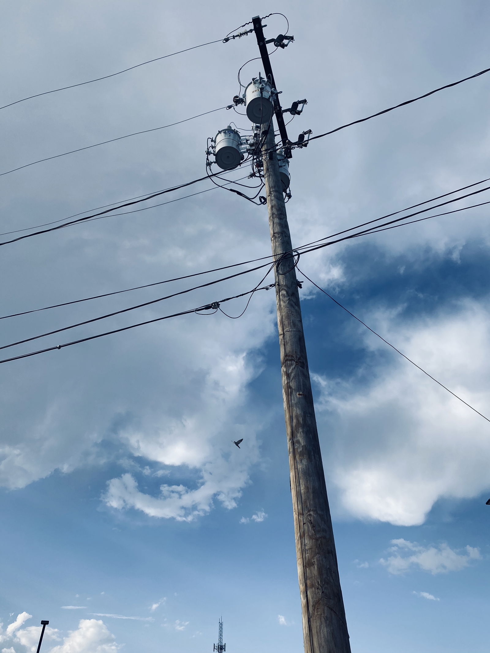 Lydian Grey profile banner