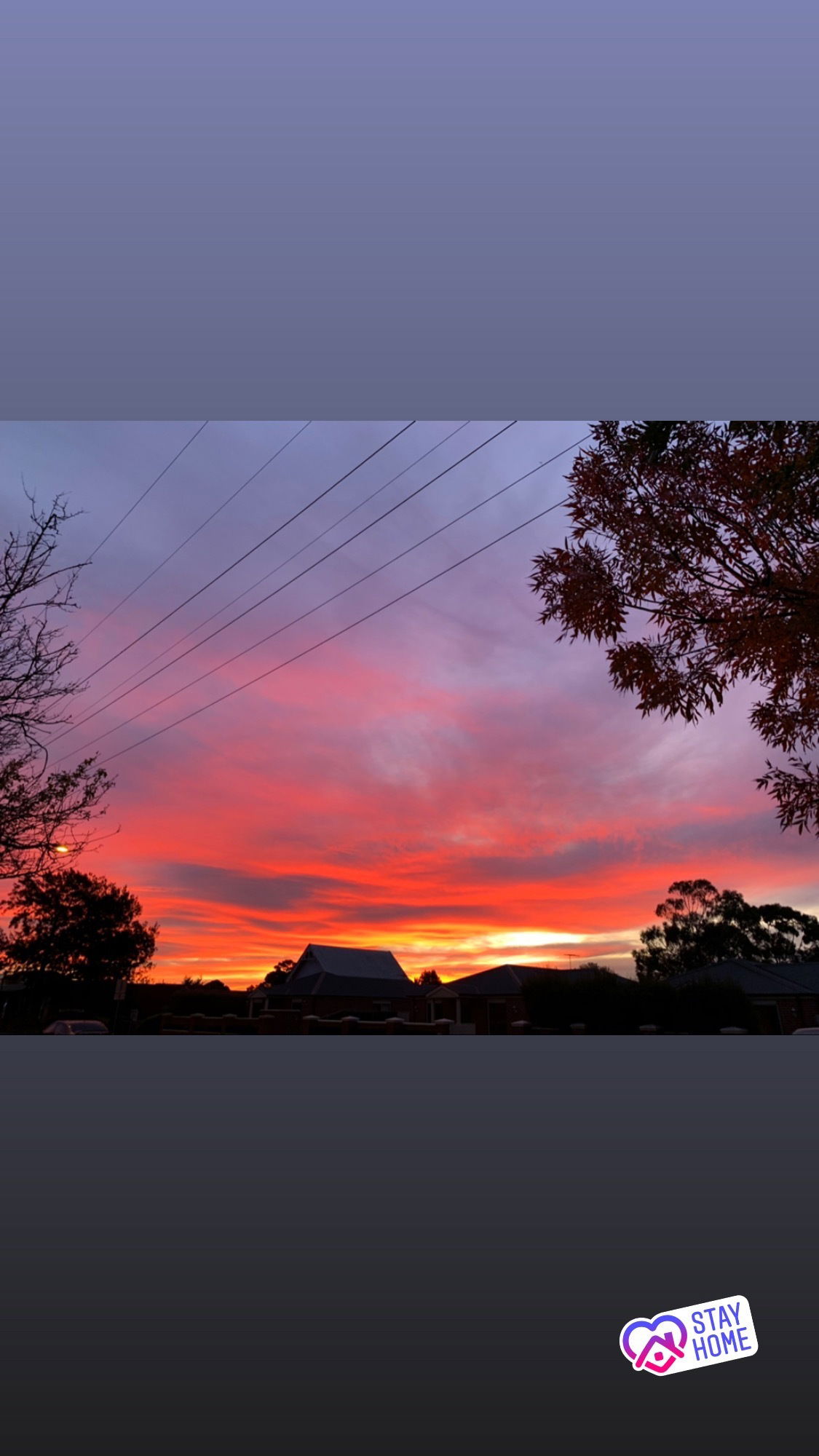 maaddison profile banner