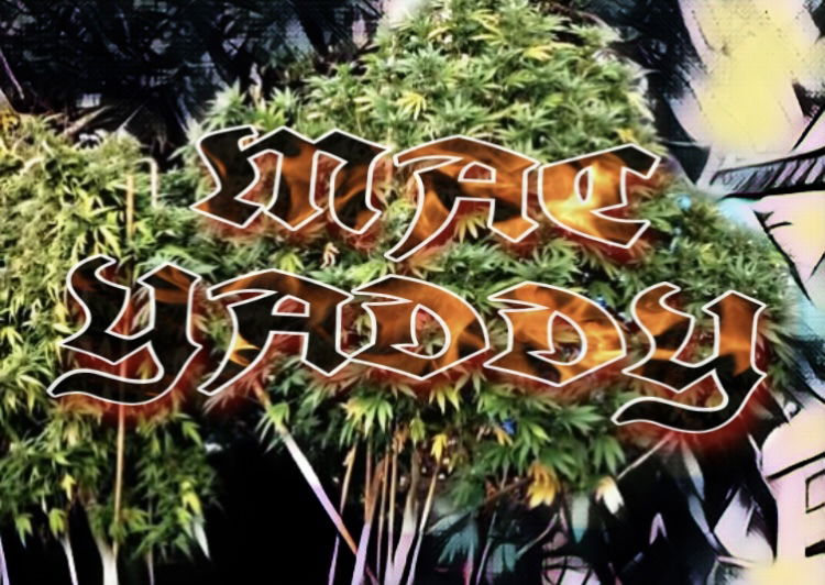 Mac Yaddy profile banner