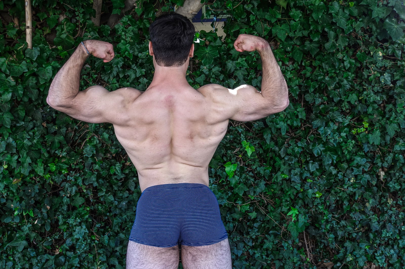 MagicMint profile banner