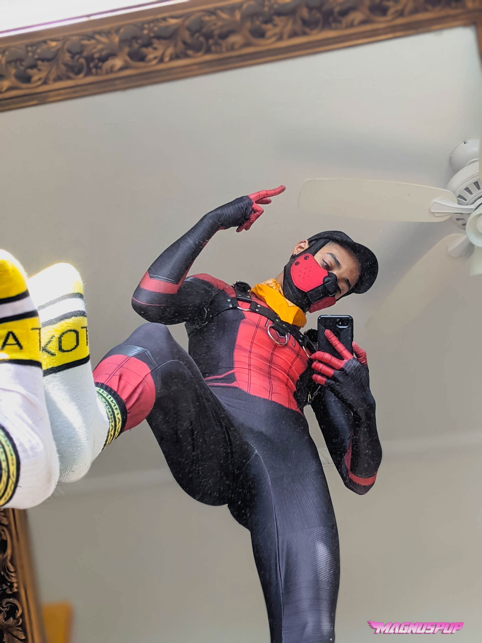 Magnus Pup profile banner