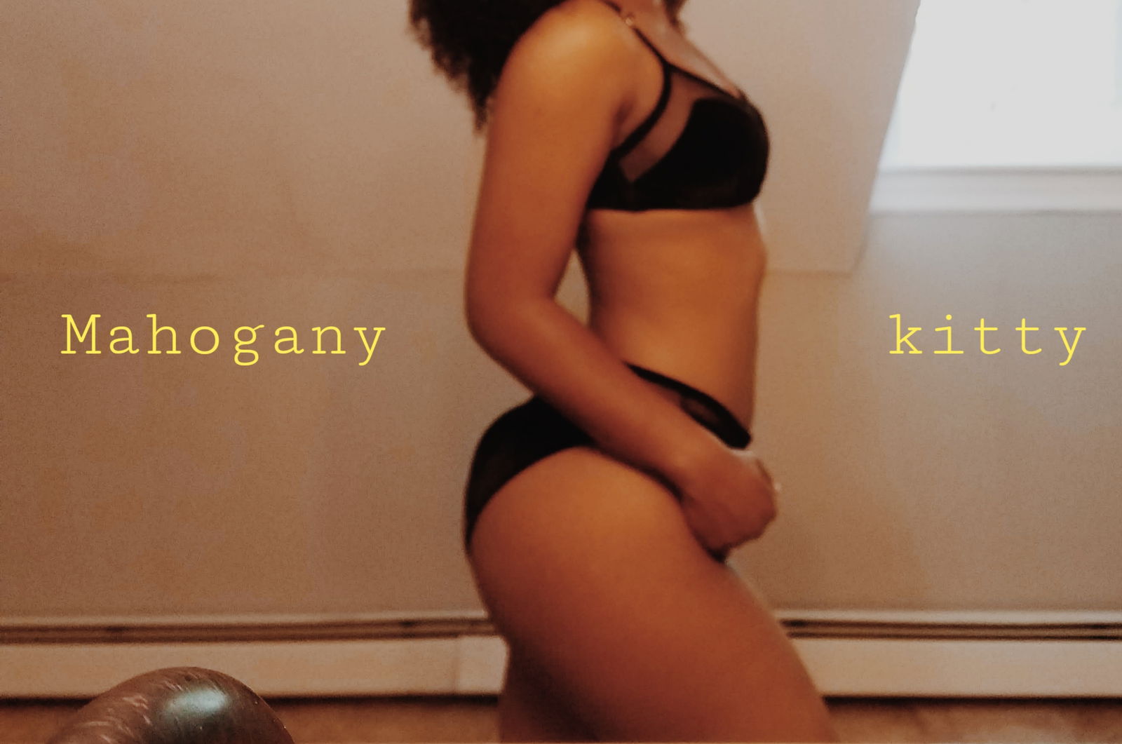 Mahogany Kitty profile banner