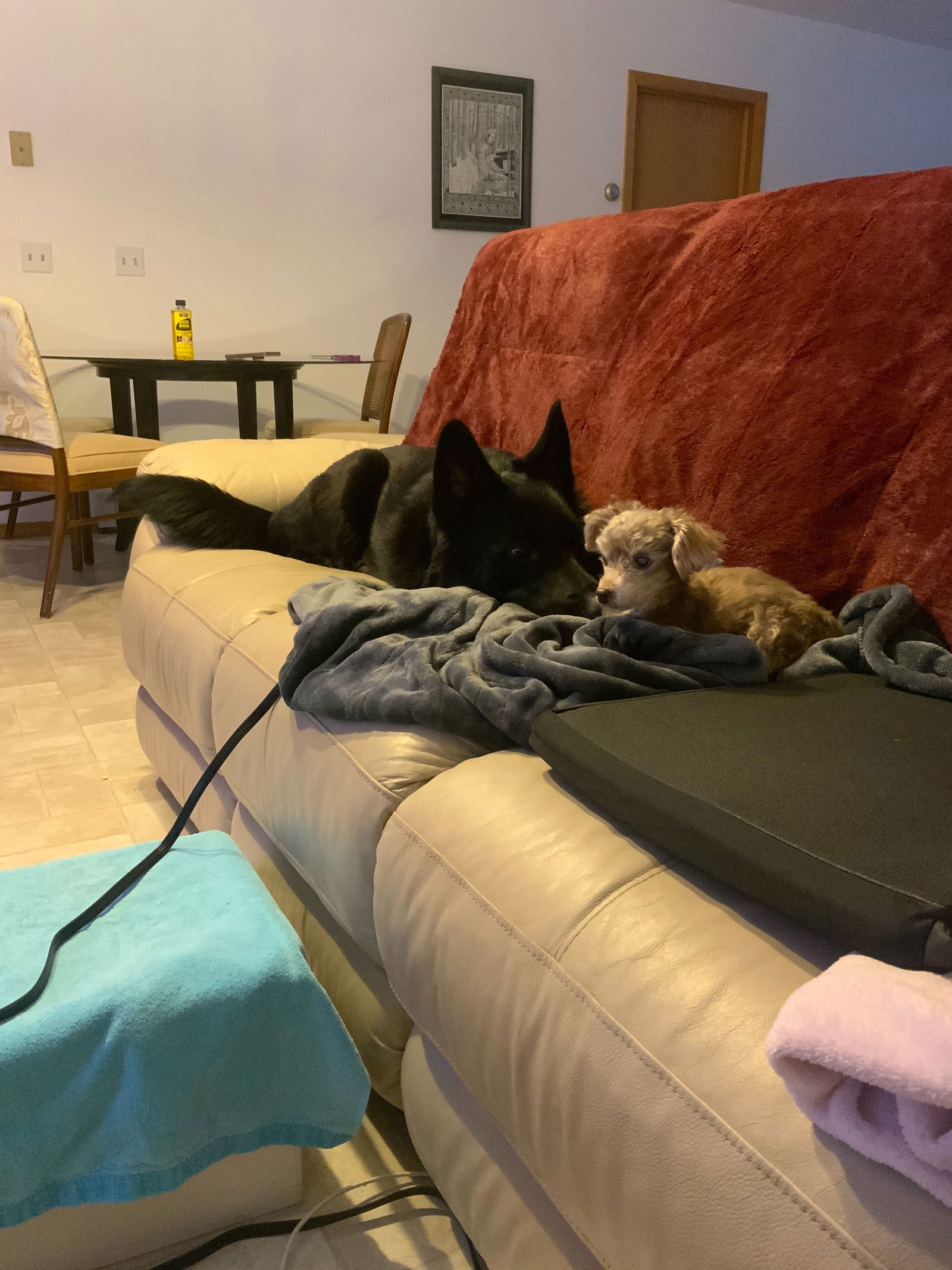 Maizey profile banner