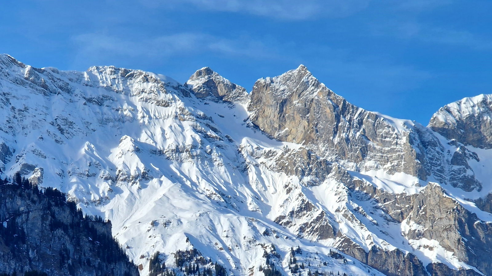 Martin profile banner